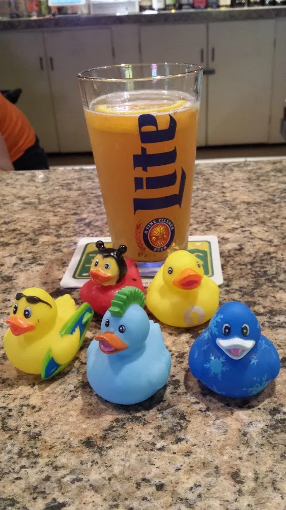 Duck